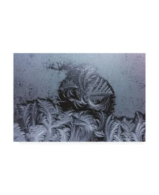 Kurt Shaffer Photographs Swirling ice crystals Canvas Art