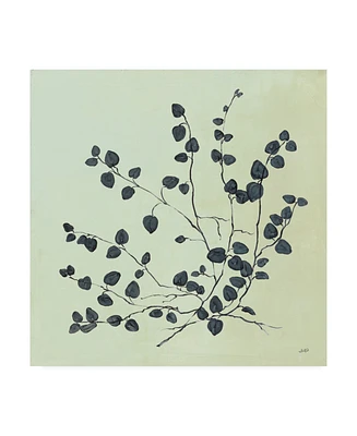Julia Purinton Botanical Study Vii Sage Canvas Art - 15.5" x 21"