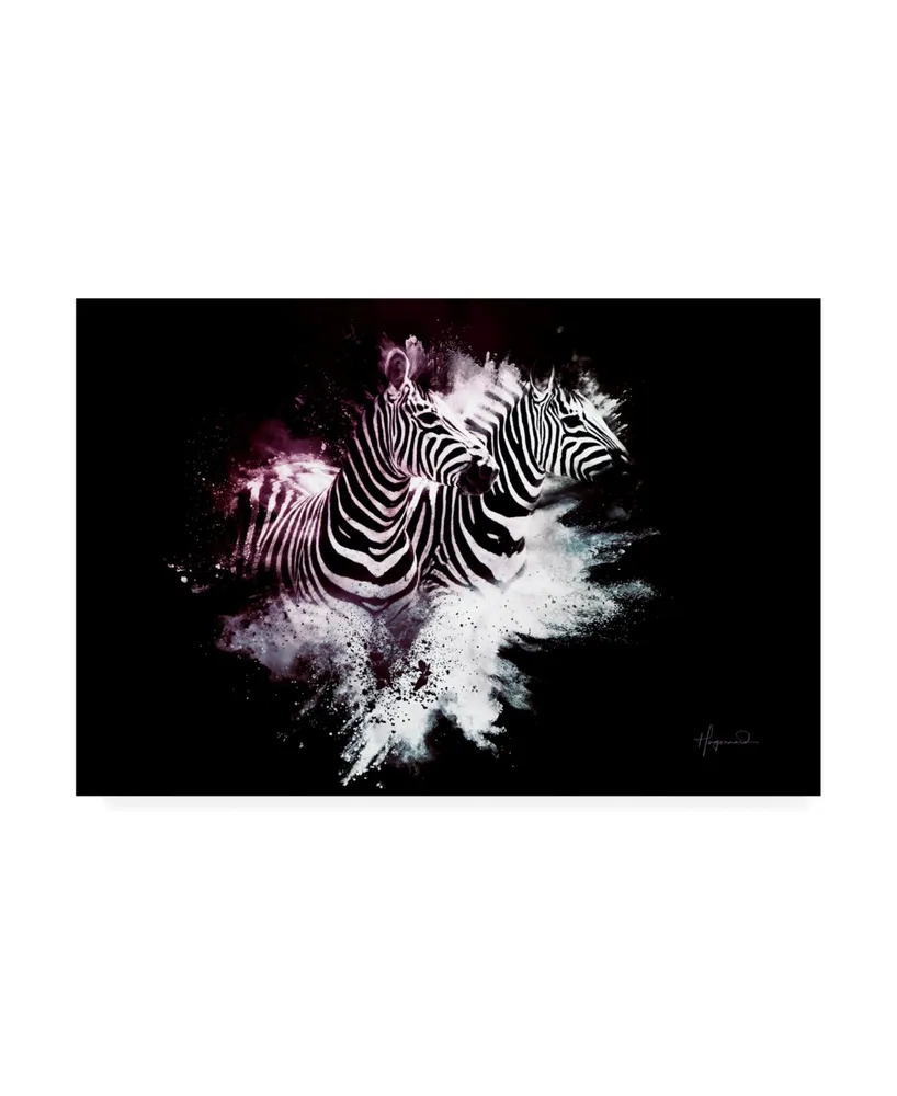 Philippe Hugonnard Wild Explosion Collection - the Zebras Canvas Art - 15.5" x 21"