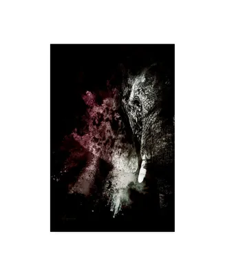 Philippe Hugonnard Wild Explosion Collection - the Elephant Canvas Art