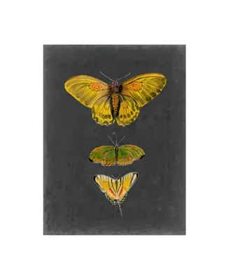 Naomi Mccavitt Butterflies on Slate I Canvas Art
