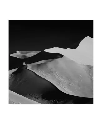 Mathilde Guillemot Abstract Dunes Black Canvas Art