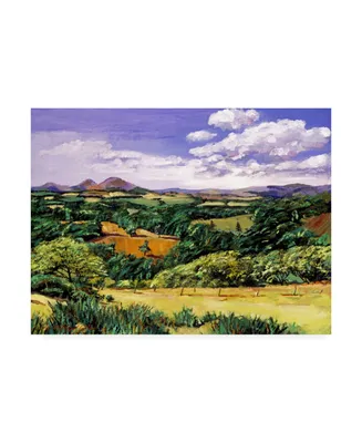 David Lloyd Glover Rolling Hills of Scotland Canvas Art - 37" x 49"