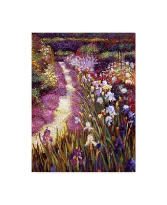 David Lloyd Glover Iris Garden Path Canvas Art