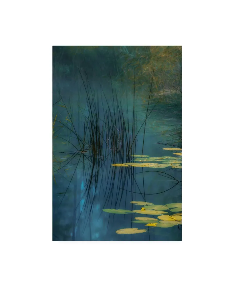 Andreas Agazzi Aqua Lily Canvas Art - 15" x 20"