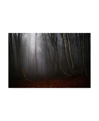 Alessandro Traverso Fog in Autumn Haze Canvas Art