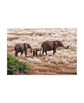 Izonevision Robert D Abramson Elephant Family Tanzania Canvas Art - 20" x 25"