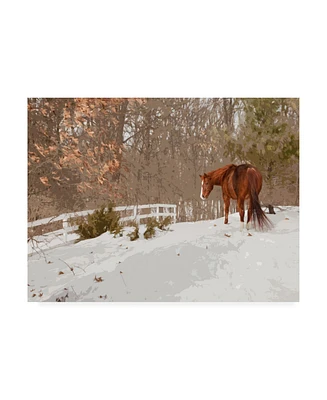 Monte Nagler Horse in the Snow Milford Michigan Canvas Art - 20" x 25"