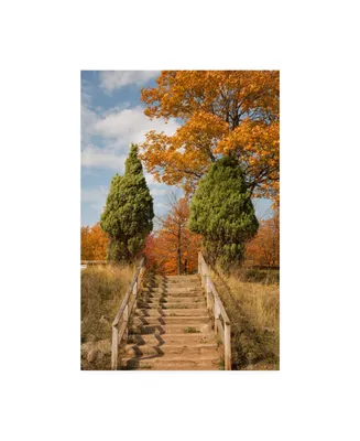 Monte Nagler Wooden Steps in Autumn Marquette Michigan Color Canvas Art