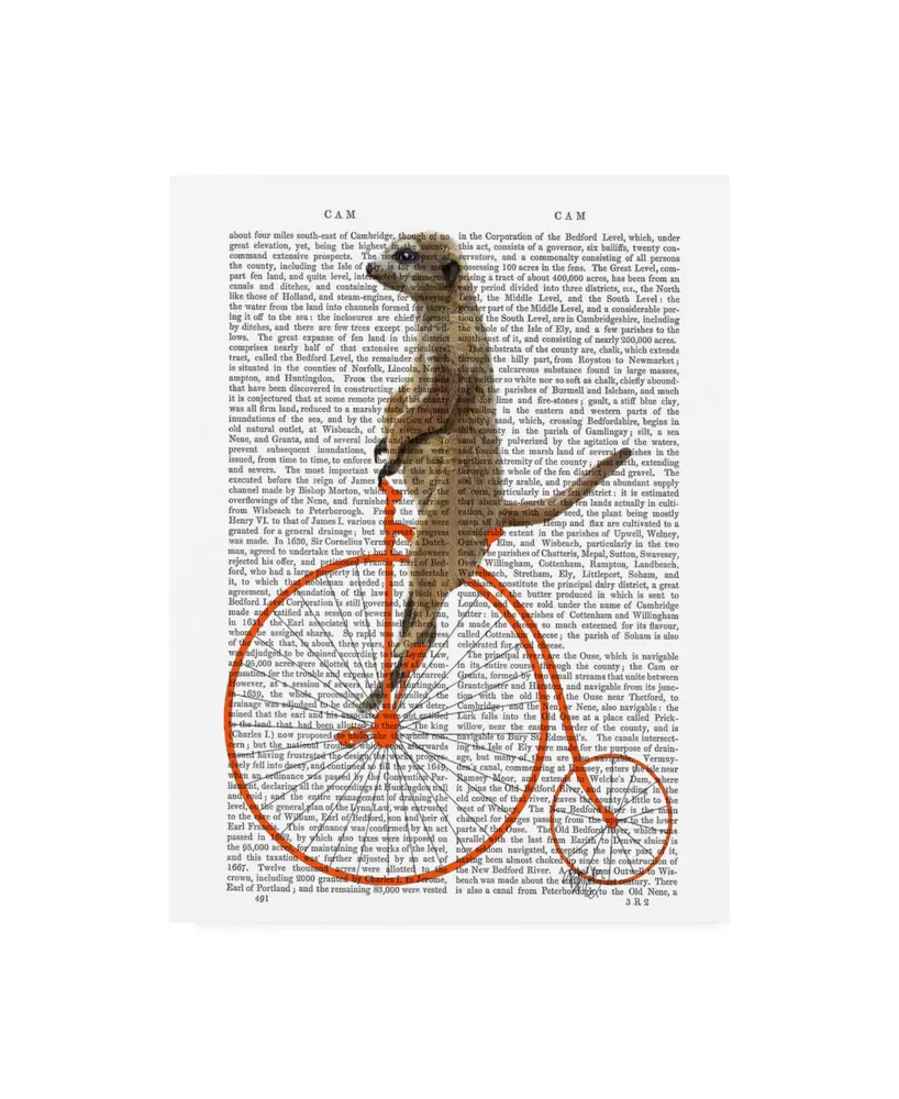 Fab Funky Meerkat on Penny Farthing Canvas Art