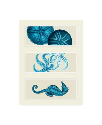 Fab Funky Three Panel Print Sea Urchin Starfish and Seahorse in Blue Canvas Art