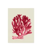 Fab Funky Red Corals 1 a Canvas Art