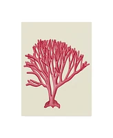 Fab Funky Red Corals 1 C Canvas Art