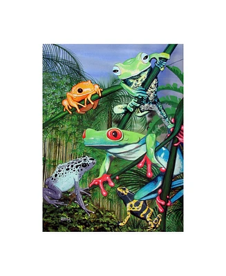 Patrick Sullivan Tree Frogs Canvas Art - 19.5" x 26"