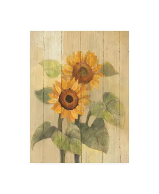 Albena Hristova Summer Sunflowers I on Barn Board Canvas Art - 19.5" x 26"