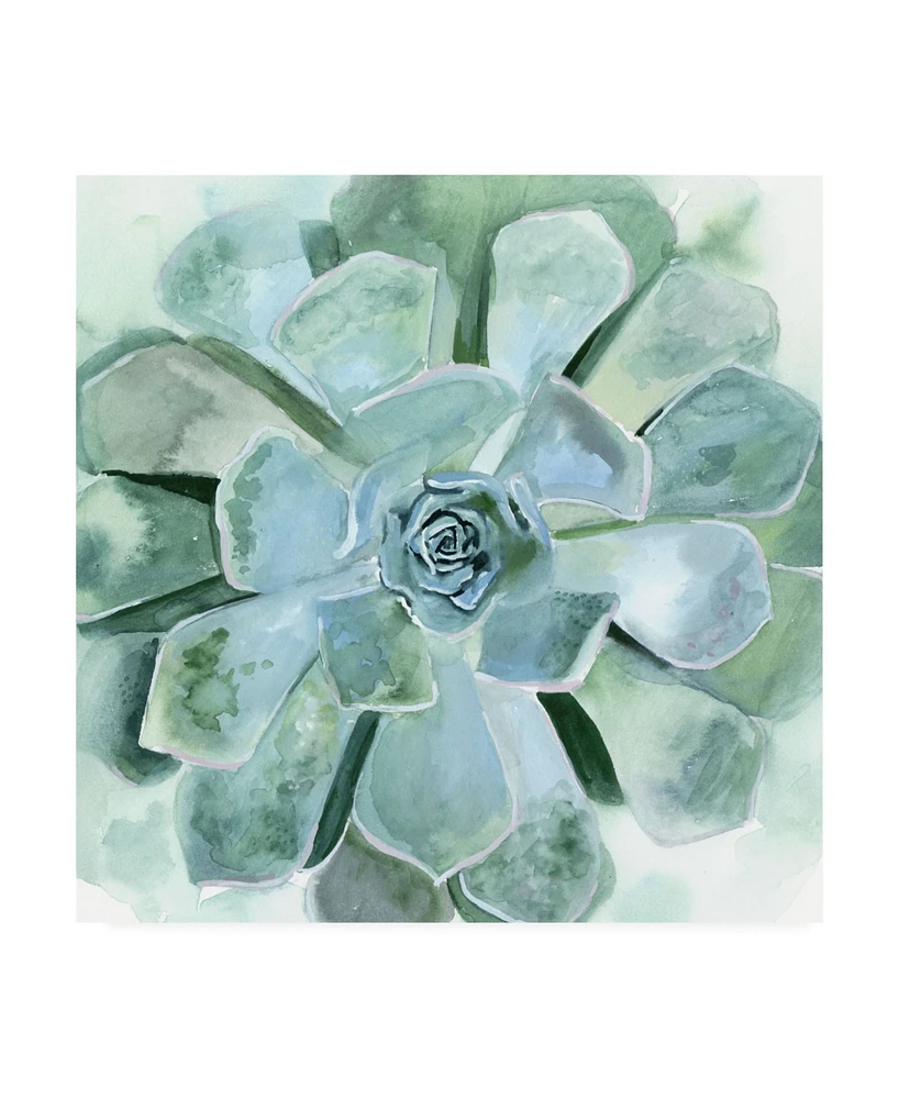 Victoria Borges Verdant Succulent Iii Canvas Art - 19.5" x 26"