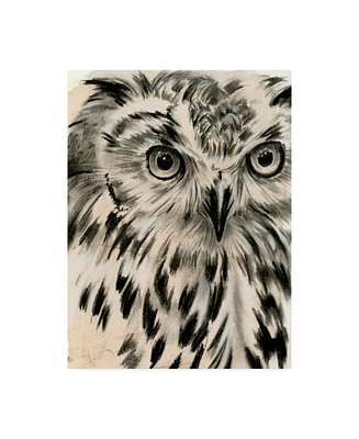 Jennifer Paxton Parker Charcoal Owl I Canvas Art - 27" x 33.5"