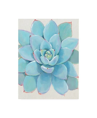 Tim O'Toole Pastel Succulent I Canvas Art - 27" x 33.5"
