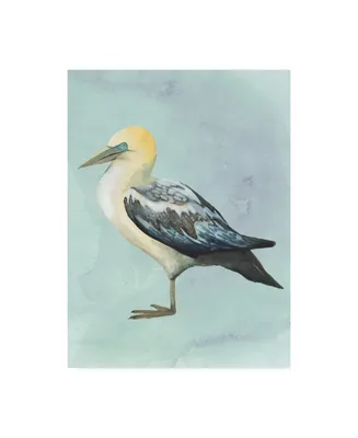 Grace Popp Watercolor Beach Bird Iii Canvas Art