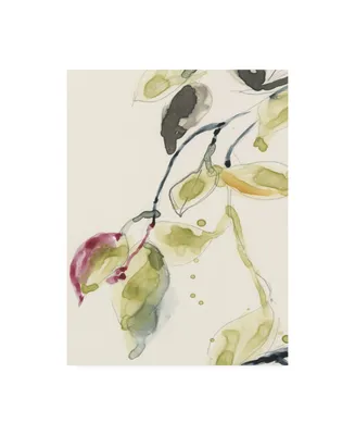 Jennifer Goldberger Leaf Branch Triptych I Canvas Art