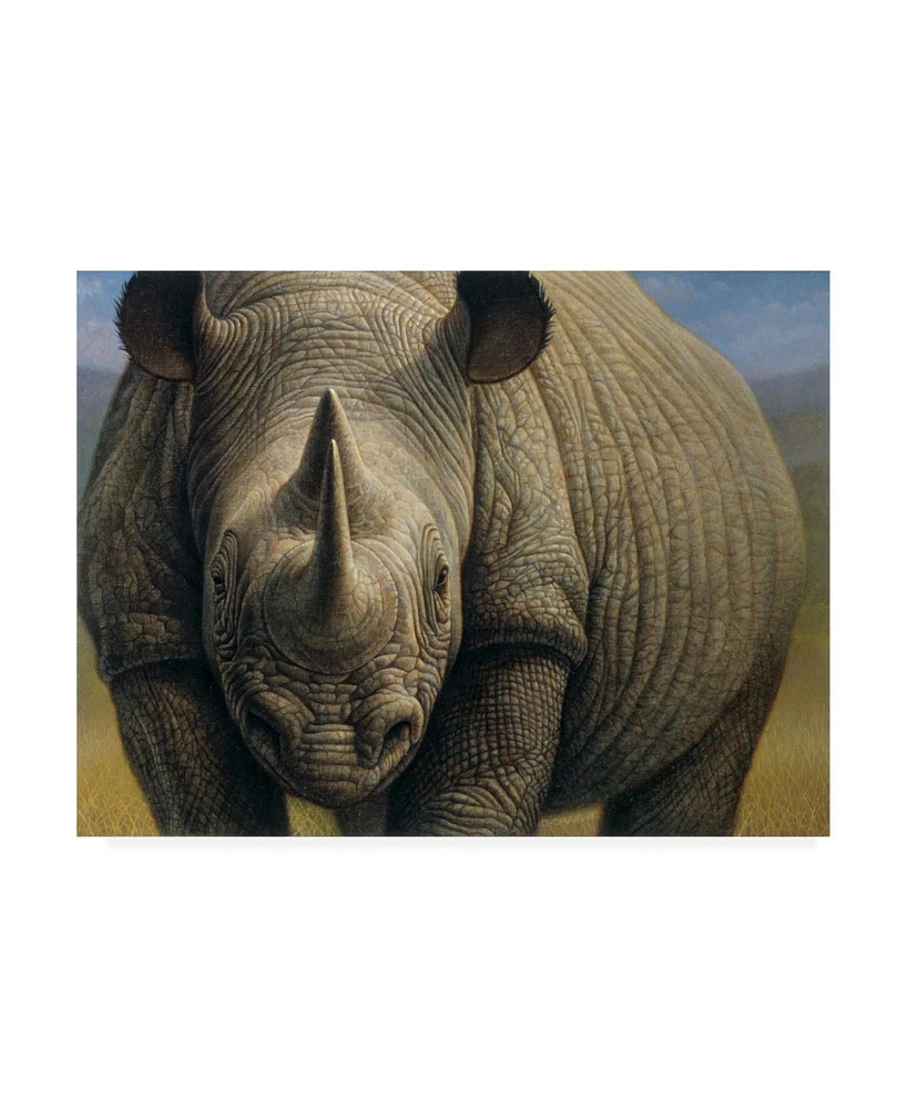 Dan Craig Rhinos Portrait Canvas Art - 19.5" x 26"