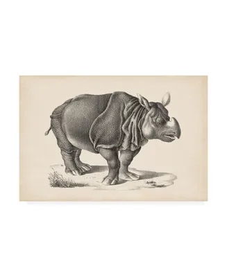 Brodtmann Brodtmann Rhinoceros Canvas Art