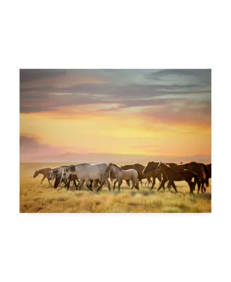 Ph Burchett Sunkissed Horses I Canvas Art
