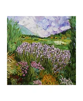 Allan Friedlander California Dreaming Flowers Canvas Art - 19.5" x 26"