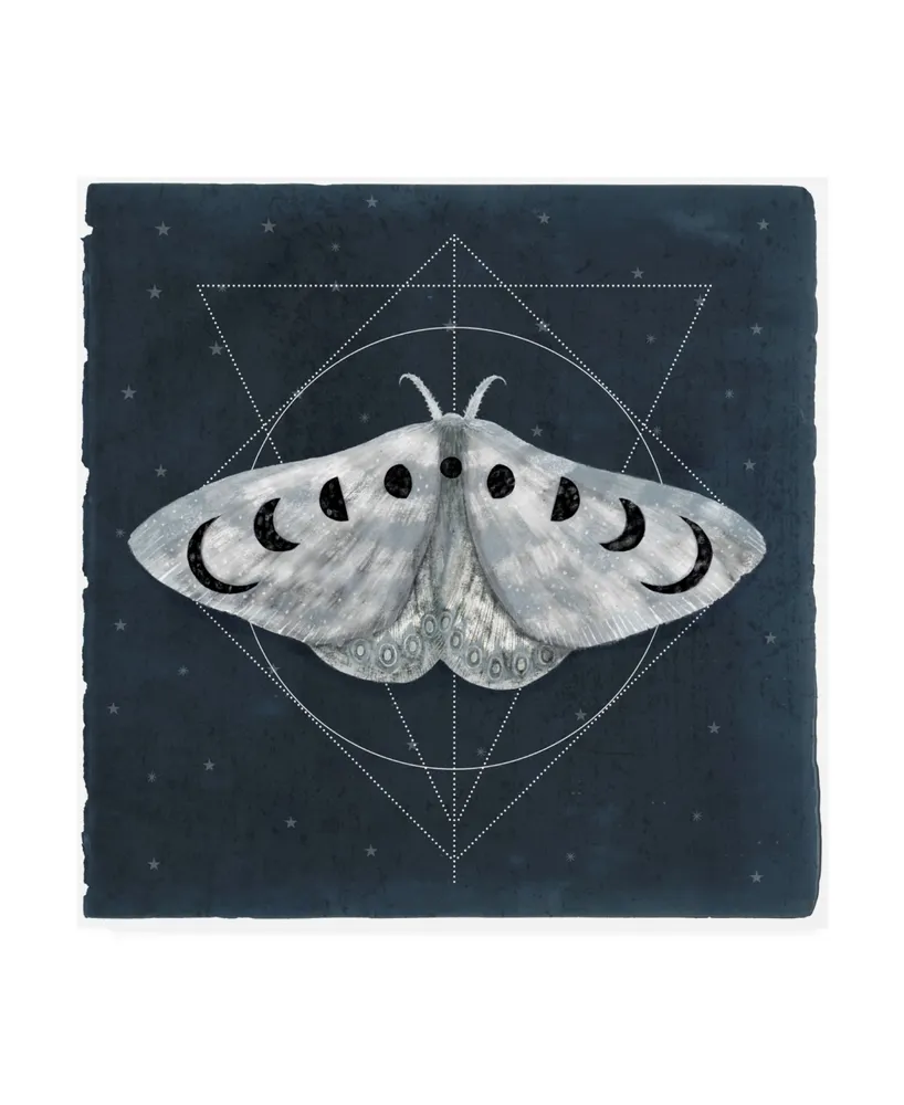 Victoria Borges Midnight Moth Ii Canvas Art