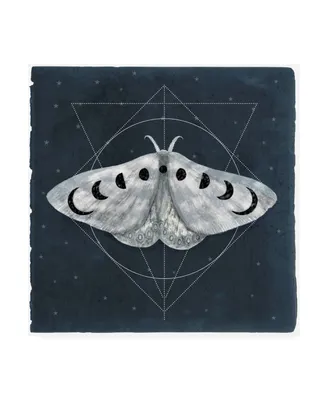 Victoria Borges Midnight Moth Ii Canvas Art