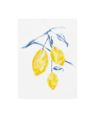 Jennifer Goldberger Watercolor Lemons I Canvas Art - 27" x 33.5"