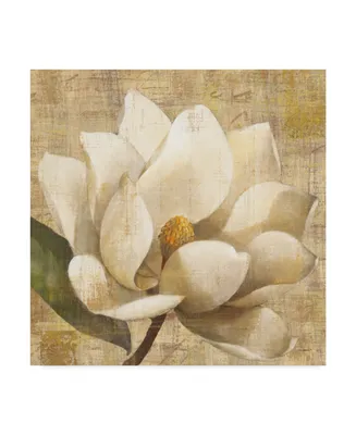 Albena Hristova Magnolia Blossom on Script Canvas Art