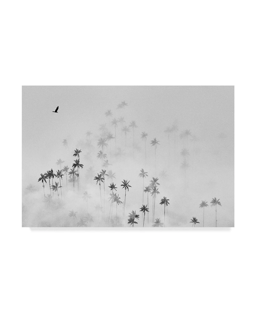 Alexey Malashin Cocora Valley Canvas Art - 15" x 20"
