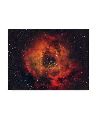 Andrea Auf Dem The Rose in The Sky Canvas Art