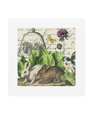 Wild Apple Portfolio Garden Rabbit Ii Canvas Art
