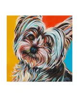 Carolee Vitaletti Sweet Yorkie Ii Canvas Art - 15" x 20"