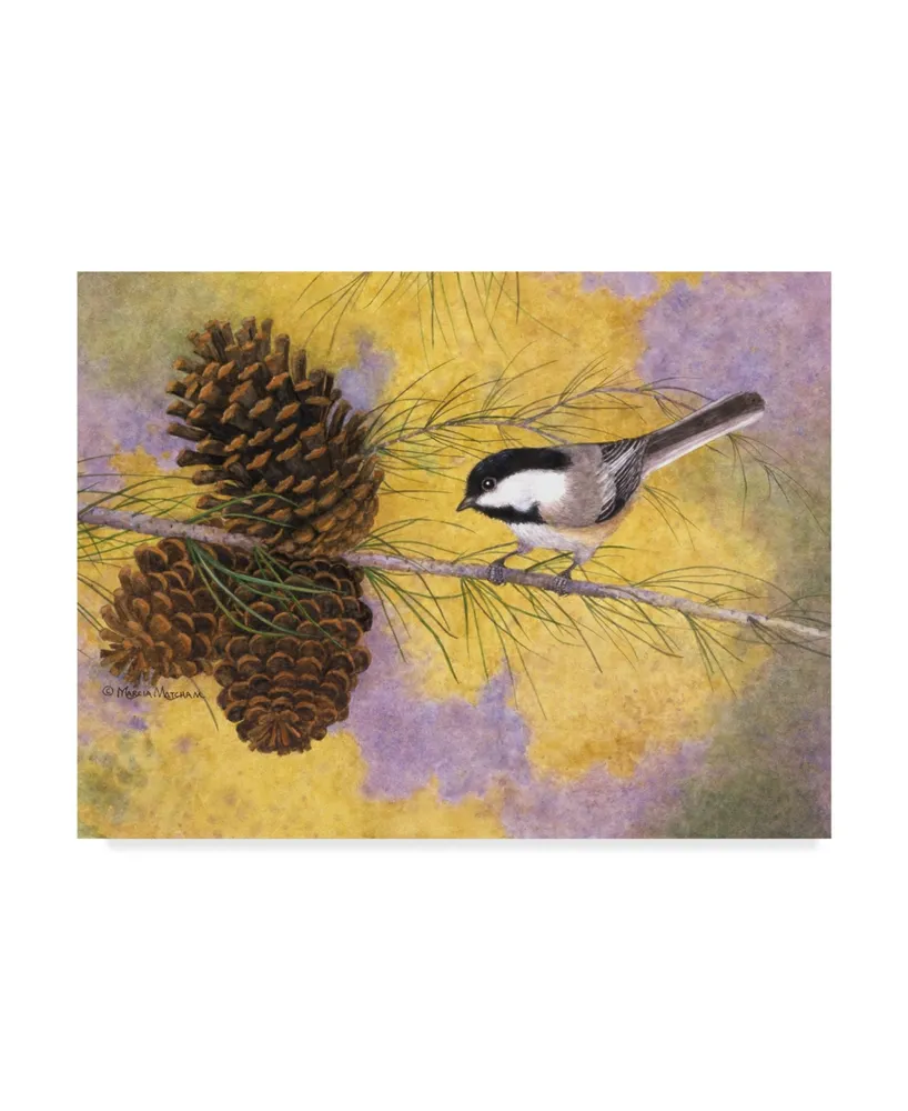 Marcia Matcham Chickadee in the Pines Ii Canvas Art