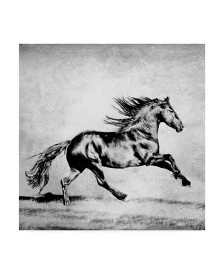 Ph Burchett Black and White Horses Ii Canvas Art