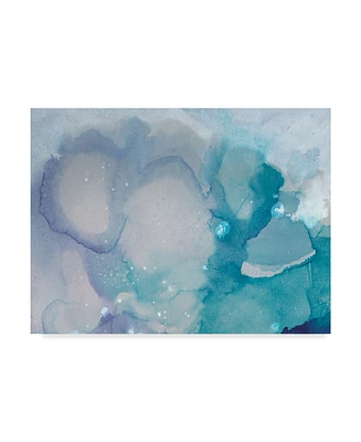 Joyce Combs Ice Crystals I Canvas Art - 20" x 25"