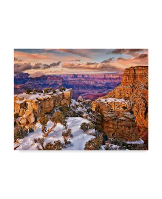 David Drost Snowy Grand Canyon V Canvas Art - 15" x 20"