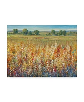 Tim Otoole Gold and Red Field I Canvas Art - 20" x 25"
