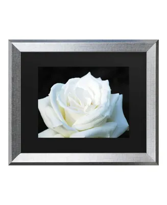 Kurt Shaffer White Rose Ii Matted Framed Art - 27" x 33"