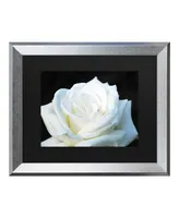 Kurt Shaffer White Rose Ii Matted Framed Art - 27" x 33"