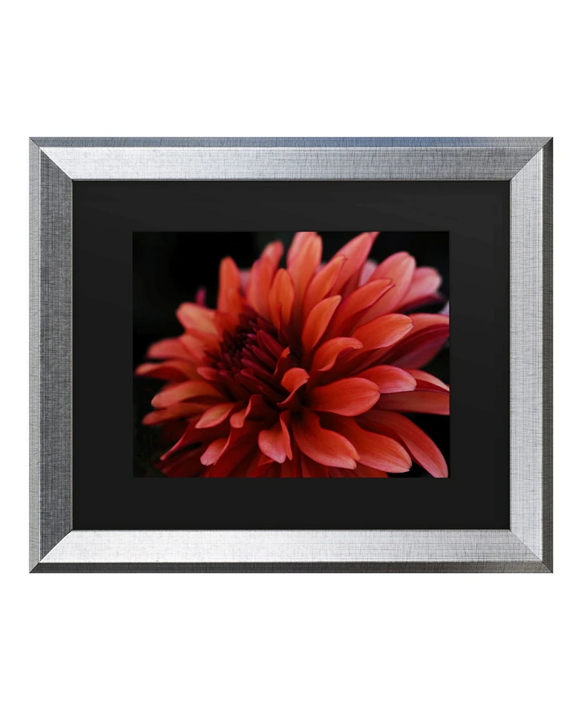 Kurt Shaffer Red Dhalia Matted Framed Art