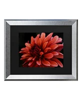 Kurt Shaffer Red Dhalia Matted Framed Art