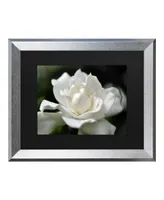 Kurt Shaffer Lovely Gardenia Matted Framed Art