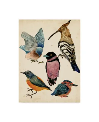 Melissa Wang Bird Collection I Canvas Art - 15" x 20"