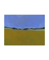 Paul Bailey Distant Flax Canvas Art - 20" x 25"