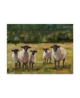 Ethan Harper Sheep Family I Canvas Art