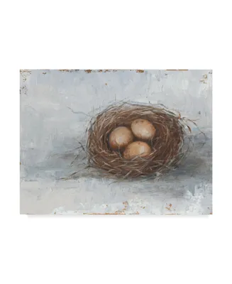 Ethan Harper Rustic Bird Nest Ii Canvas Art